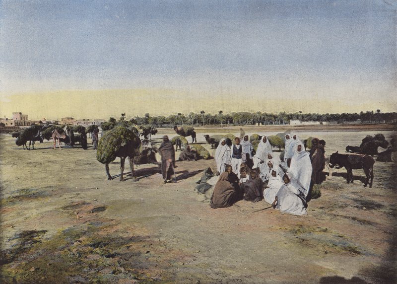 Karavan přivážející Alfu od European Photographer