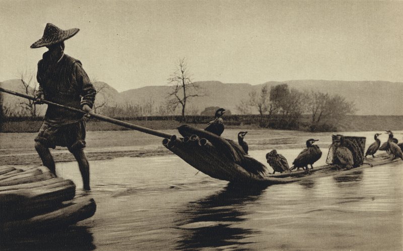 Čína, lov kormoránů (č/b foto) od European Photographer