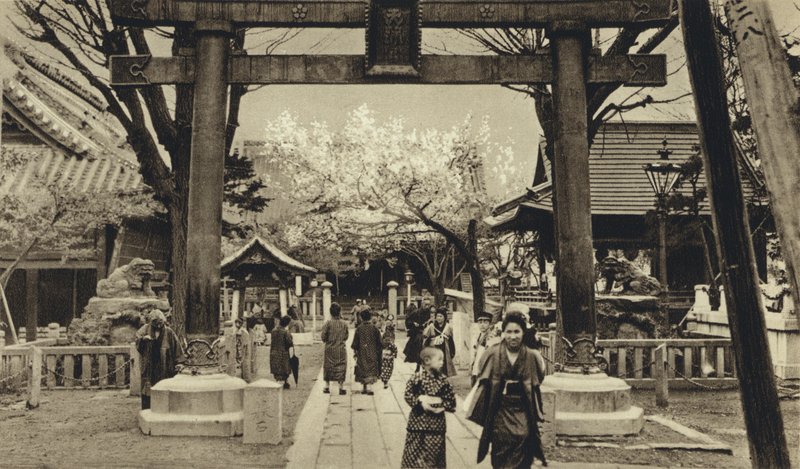Japonsko, ulice v Tokiu, čas rozkvětu třešně (č/b foto) od European Photographer