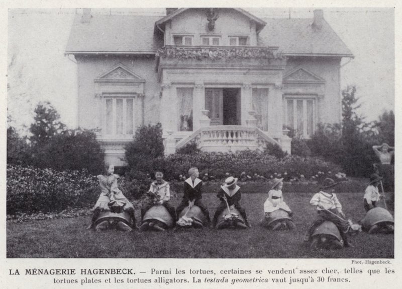 La Menagerie Hagenbeck (černobílá fotografie) od European Photographer
