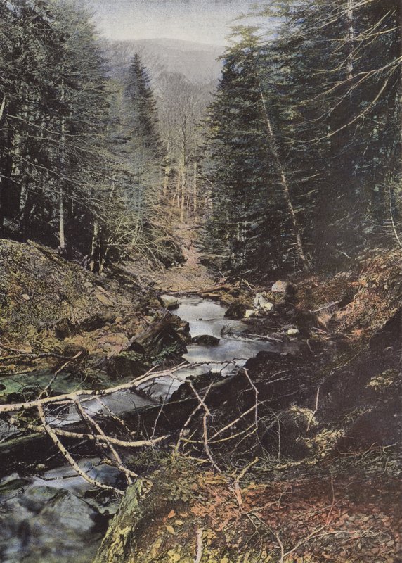 Luchon, Horní údolí Pike od European Photographer