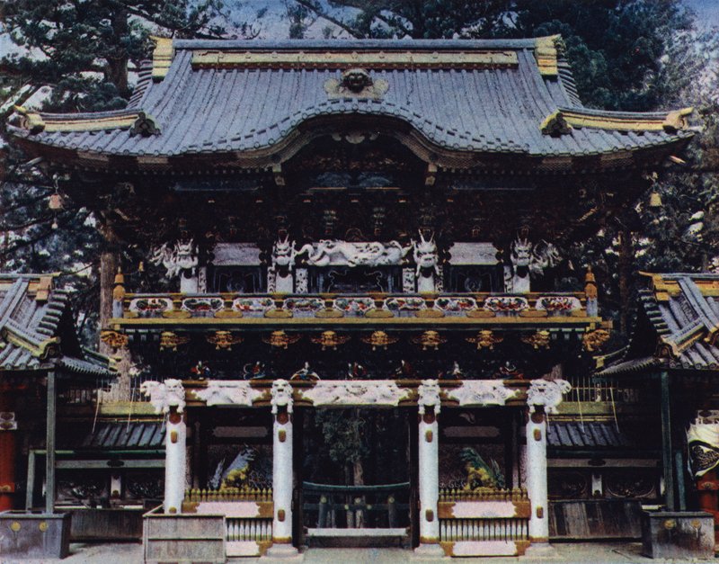 Nikko, Knihy, Očekávaná délka života-Mon, fm Whitin od European Photographer