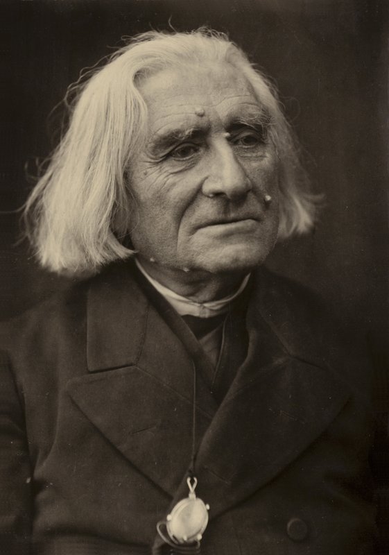 Portrét Franze Liszta od European Photographer
