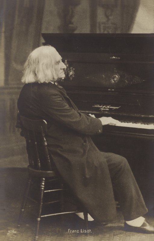 Portrét Franze Liszta od European Photographer