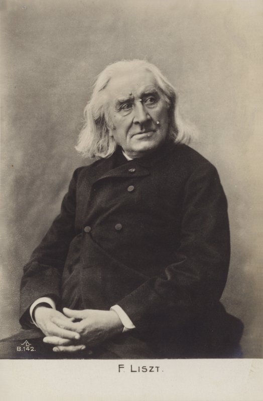 Portrét Franze Liszta od European Photographer