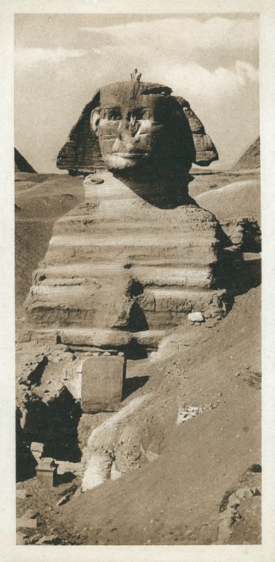 Velká sfinga na náhorní plošině v Gíze, Egypt (černobílá fotografie) od European Photographer