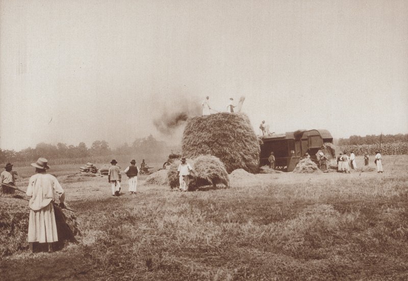Mlácení pšenice na Alfoldu, maďarské pláně (č/b foto) od European Photographer