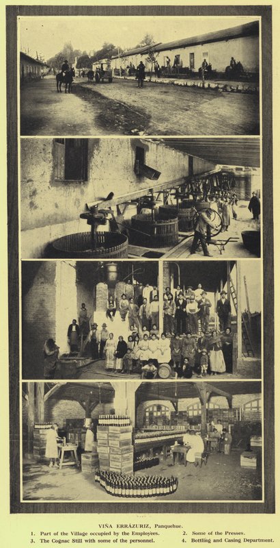 Vinařství Vina Errazuriz, Panquehue, Chile (č/b foto) od European Photographer