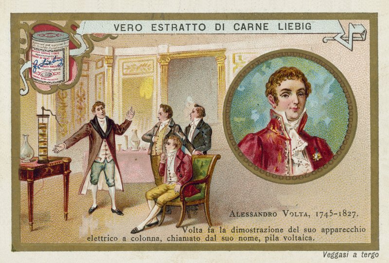 Alessandro Volta , italský fyzik od European School