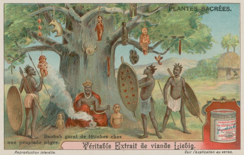 Baobab Tree ověšený fetiše africkým kmenem od European School