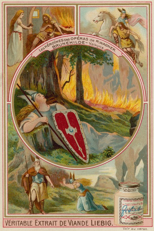 Brunnhilde (Die Walkure) od European School
