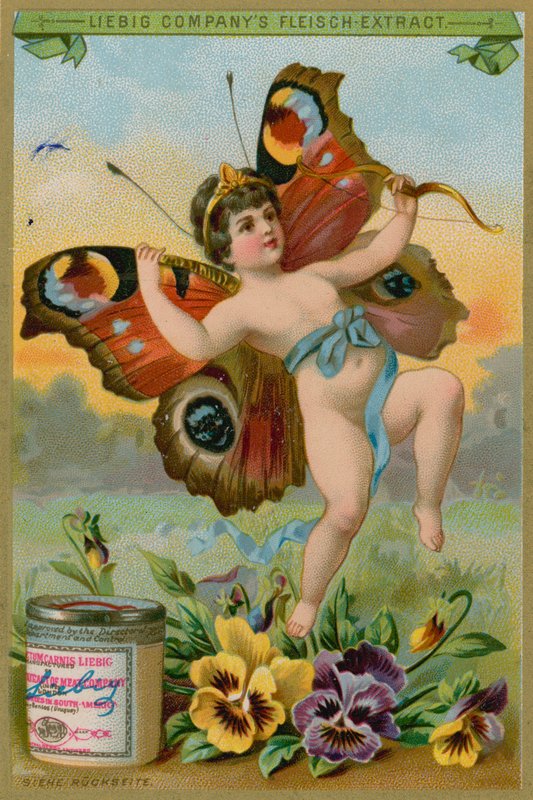 Butterfly Cherub s maceškami od European School