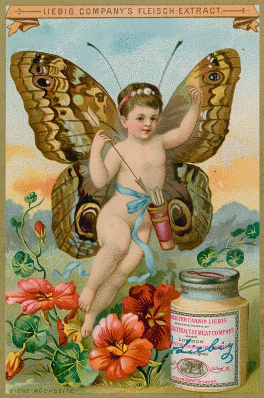 Butterfly cherubín s červenými květy od European School