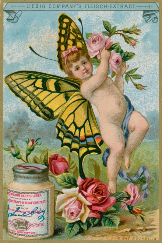 Butterfly Cherub s červenými růžemi od European School
