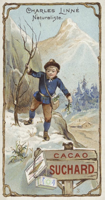 Carl Linnaeus, švédský botanik a zoolog, jako dítě od European School