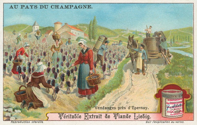 Šampaňské, Liebigova karta, počátek 20. století (chromo) od European School