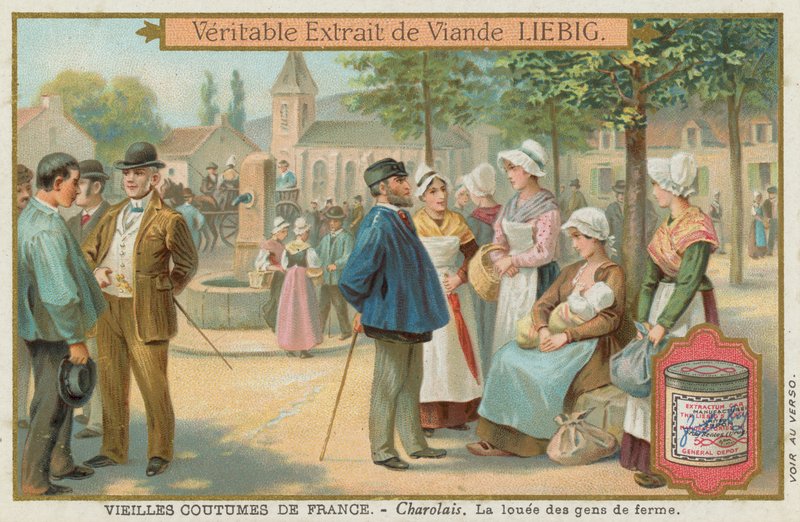 Charolais od European School