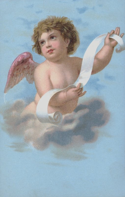 Cherub drží svitek od European School