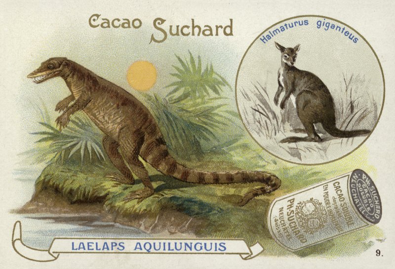 Dryptosaurus a klokan od European School