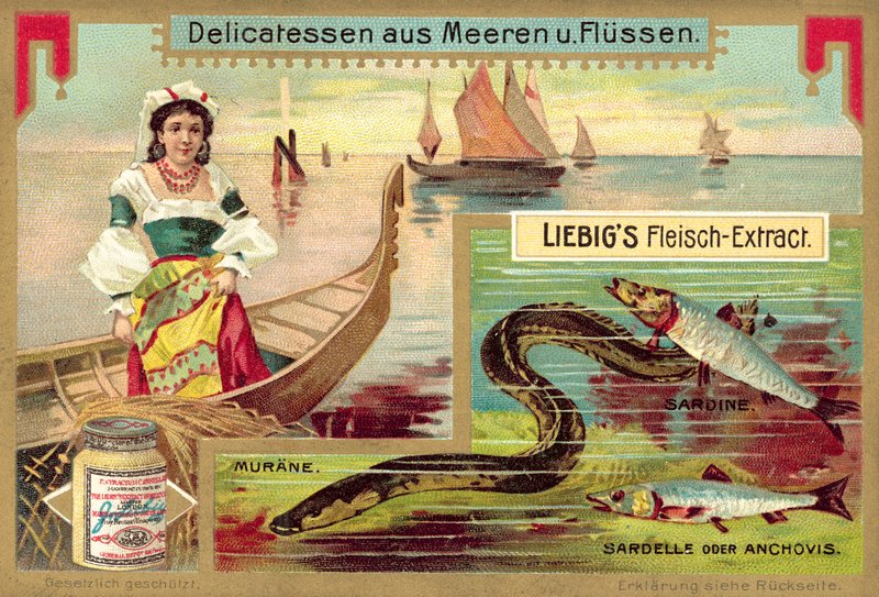Úhoř, sardinka a ančovička (chromolitho) od European School