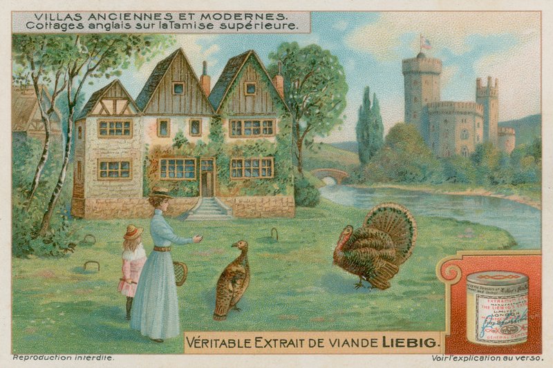 Anglické chaty na horní Temži od European School