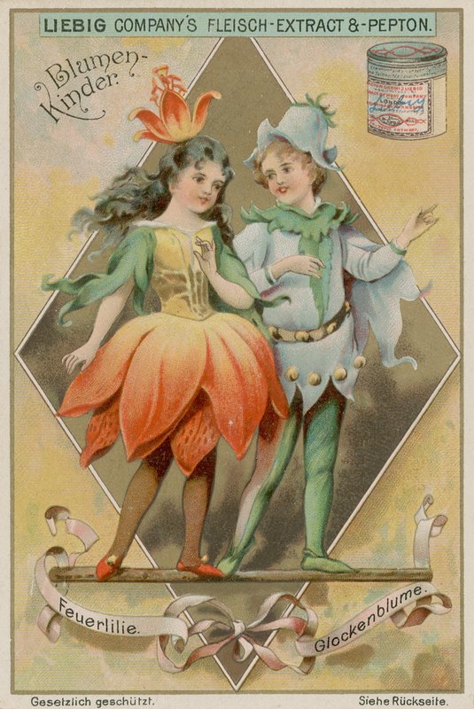 Ohnivá lilie a zvonek od European School