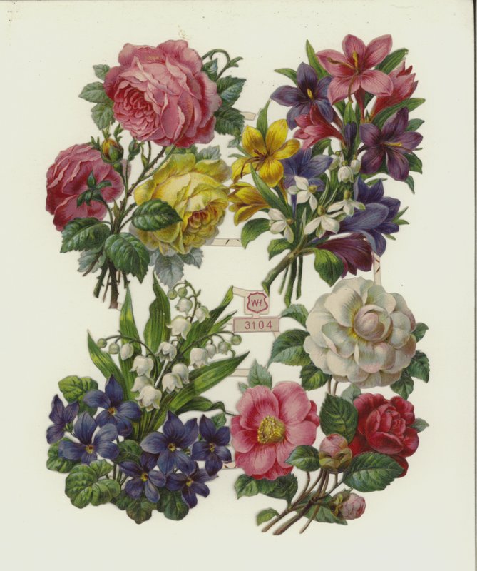 Květiny (chromolitho) od European School