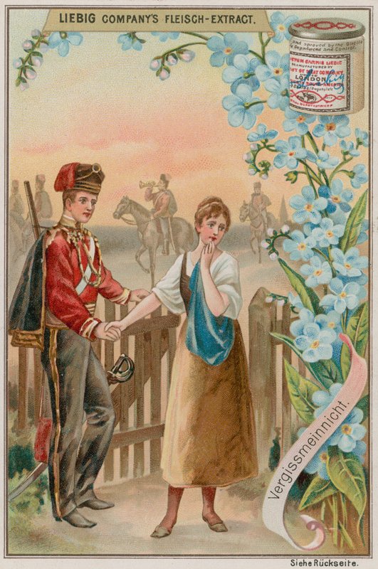 Forget Me Nots od European School