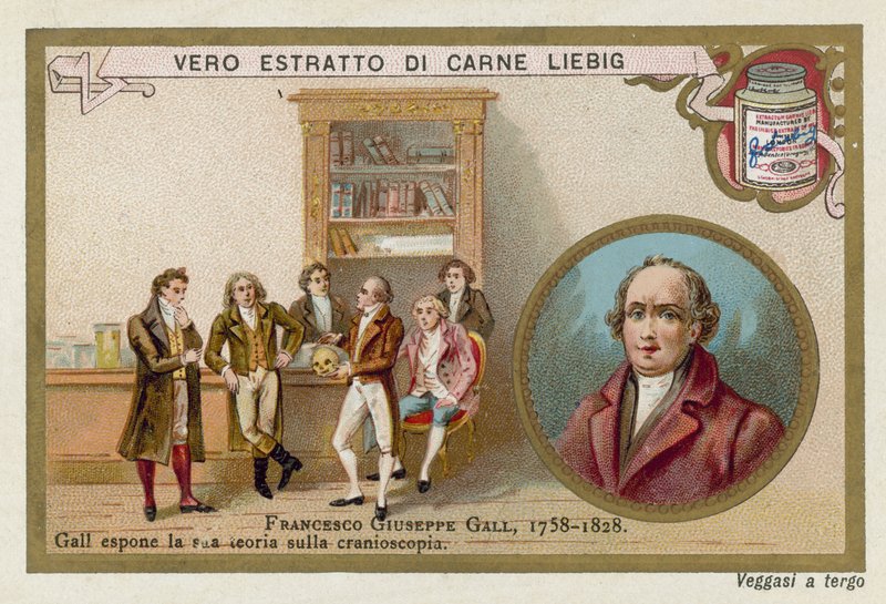 Franz Joseph Gall , německý neuroanatom a fyziolog od European School