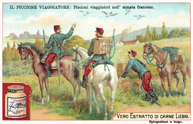 Francouzští armádní poštovní holubi (chromolitho) od European School