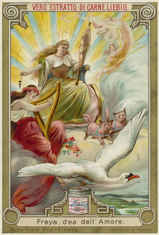 Freyja, bohyně lásky od European School