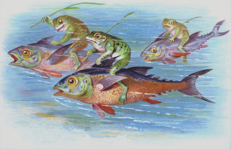 Žáby na koni (chromolitho) od European School