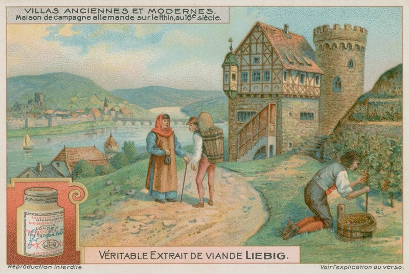Německá vila na Rýně v 16. století od European School