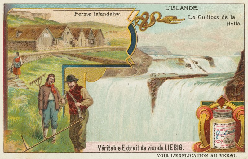 Islandská farma a Gullfoss (Zlaté vodopády) na Hvitě od European School