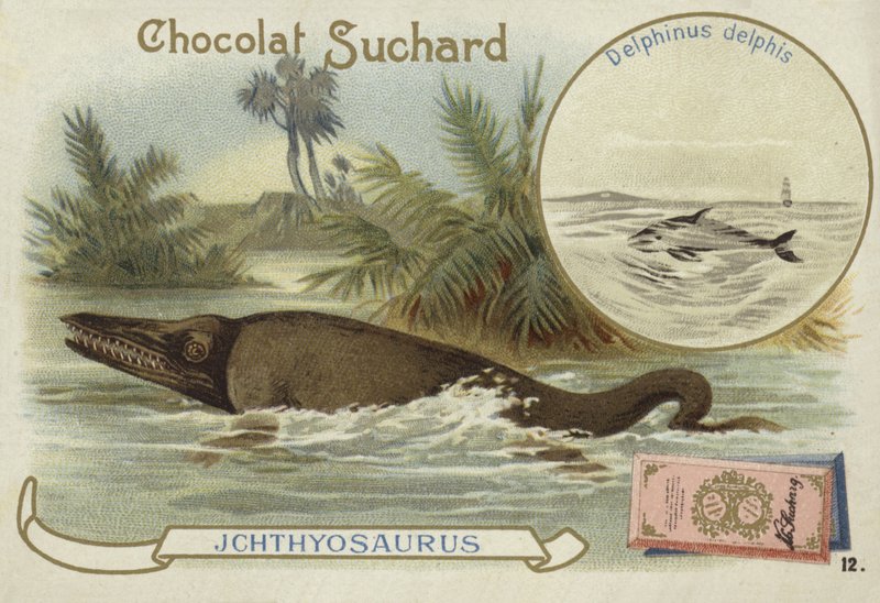 Ichtyosaurus a delfín obecný od European School