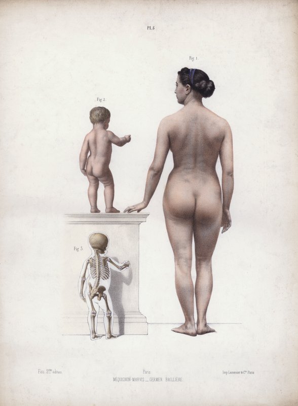 Ilustrace k knize Anatomie vnějších tvarů člověka: Stojící žena a dítě, pohled zezadu (barevná litografie) od European School