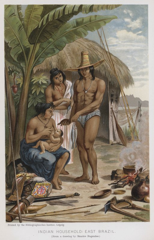 Indická domácnost, východní Brazílie (chromolitho) od European School