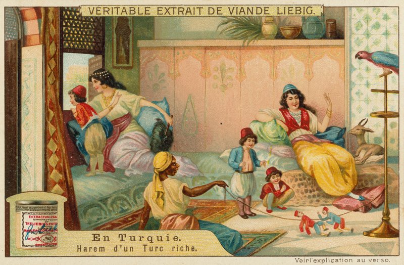 Uvnitř harému bohatého Turka od European School