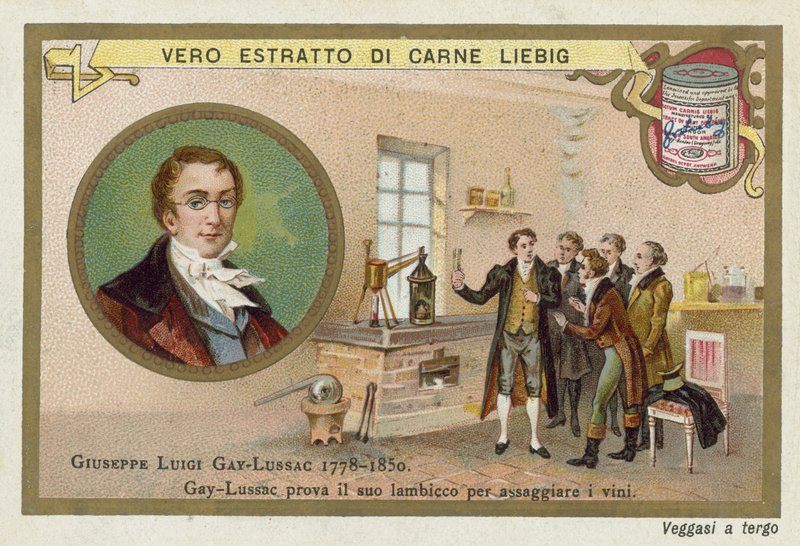 Joseph Louis Gay-Lussac , francouzský chemik a fyzik. od European School