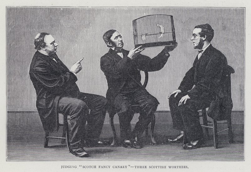 Posuzovat "Scotch Fancy Canary", Three Scottish Worthies od European School