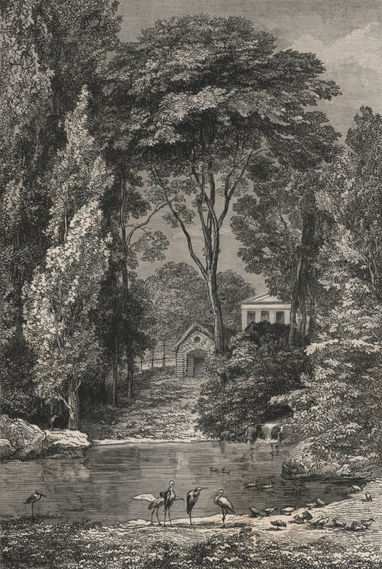 Švýcarské údolí v Jardin Des Plantes De Paris (rytina) od European School