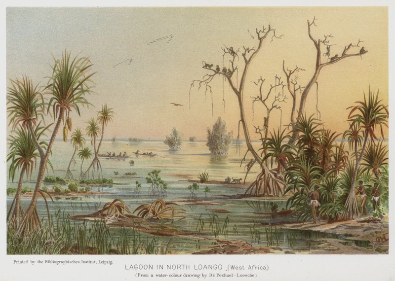 Laguna v Severním Loangu, západní Afrika (chromolitho) od European School