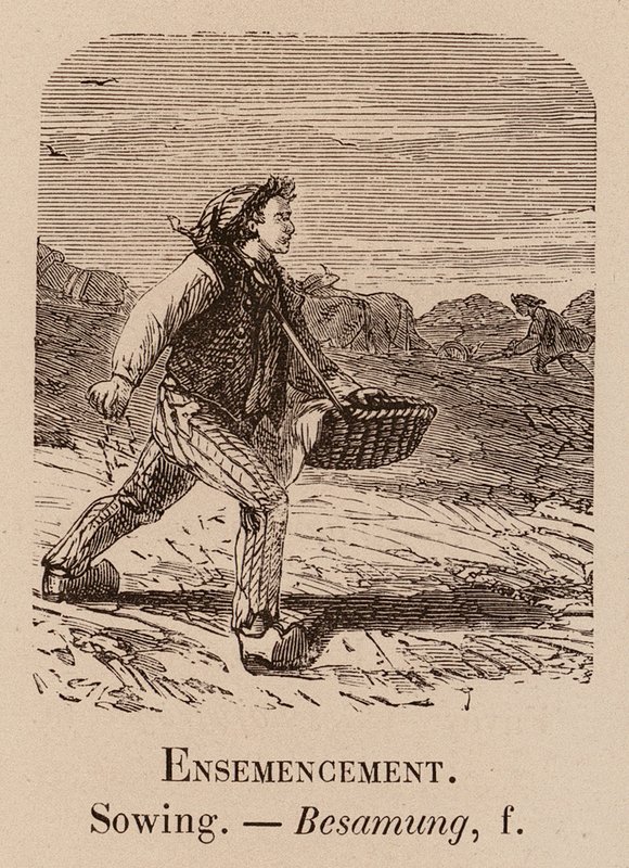 Ilustrativní slovník: Setí; Setí; Besamung (rytina) od European School
