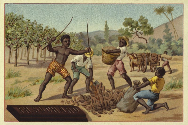 Nakládání kakaových lusků do pytlů, Afrika od European School