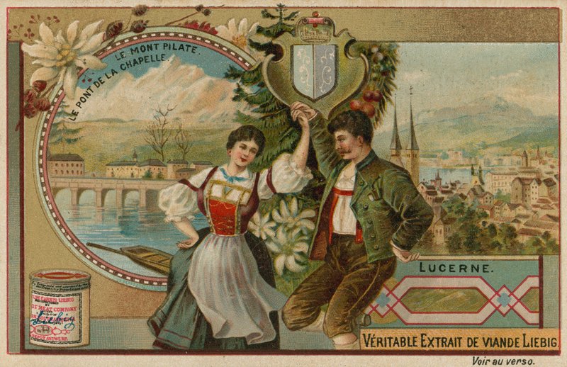 Vojtěška od European School