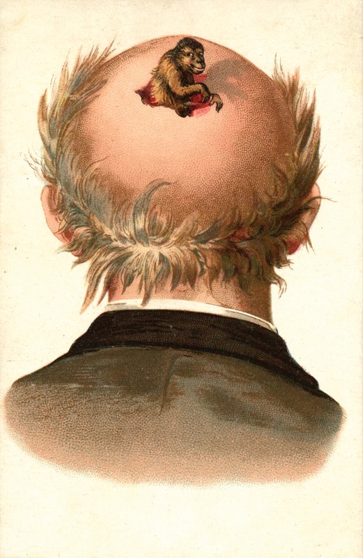 Hlava muže - s vylézající opicí (chromolit) od European School