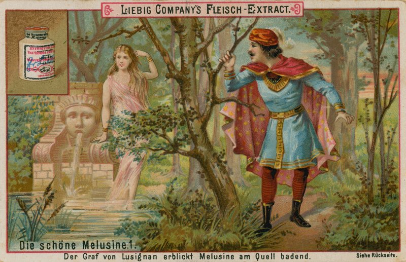 Meluzína objevená v lese od European School