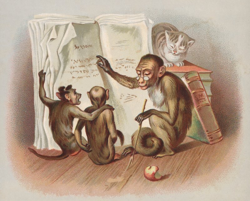 Výuka opice (chromolitho) od European School