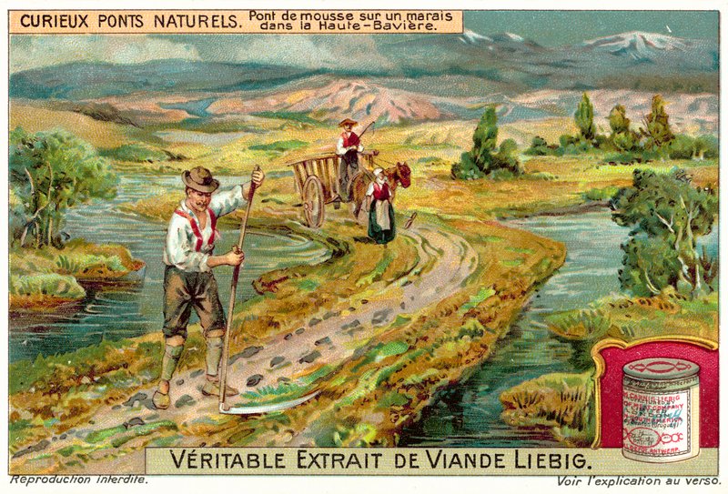 Mechový most v bažině v Horním Bavorsku (chromolitho) od European School