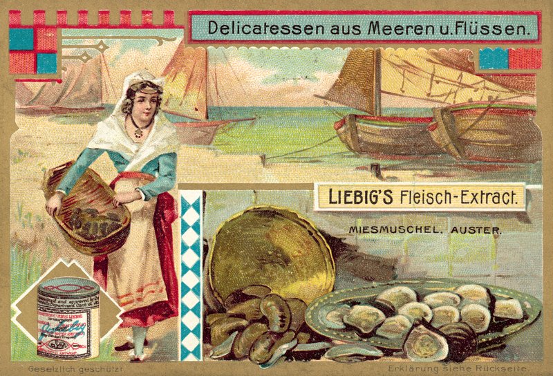 Mušle a ústřice (chromolitho) od European School